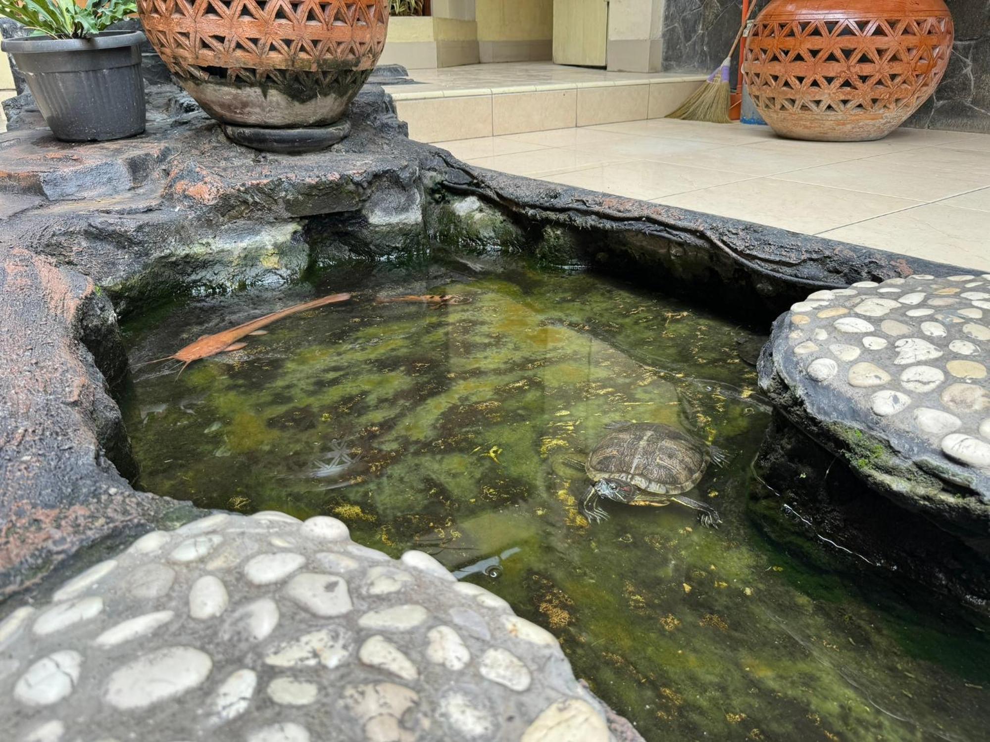 Hotel Priangan Cirebon Eksteriør billede