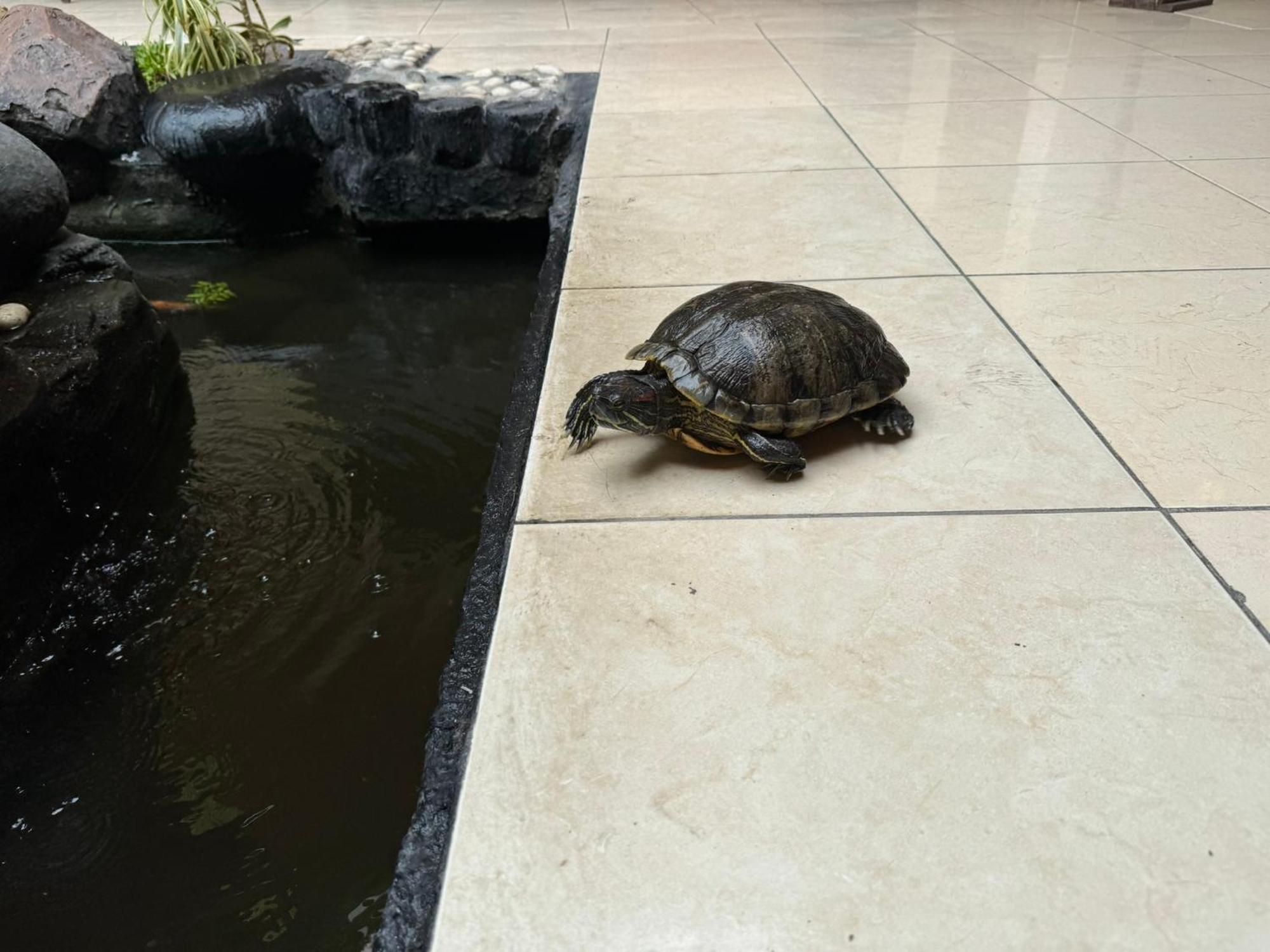 Hotel Priangan Cirebon Eksteriør billede